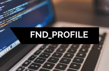 Como utilizar a API FND_PROFILE